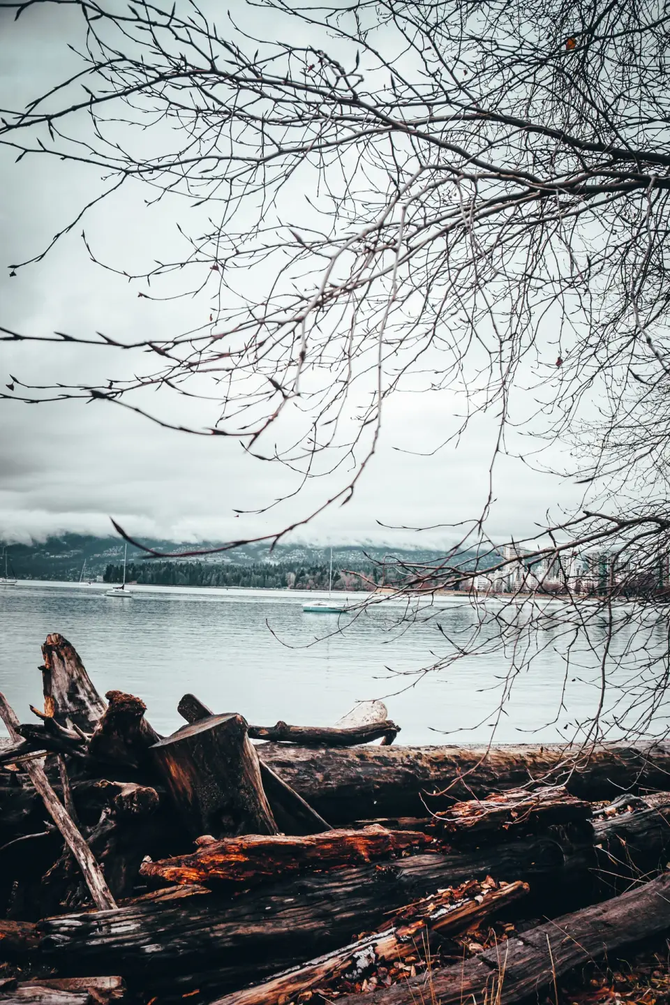 Beach Logs Vancouver. Landscape, weather, distance.