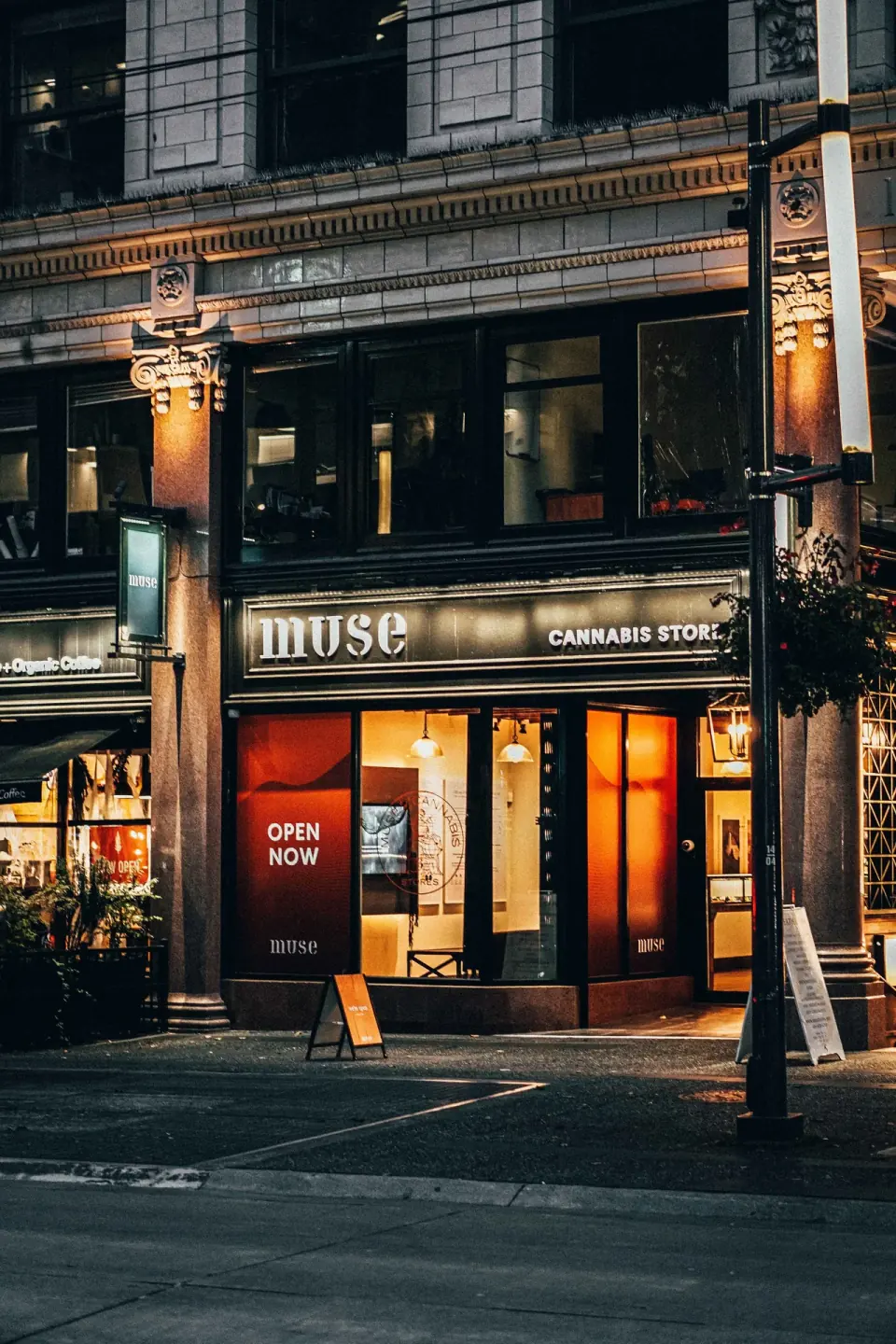 Muse. Architecture, reflection, available light.