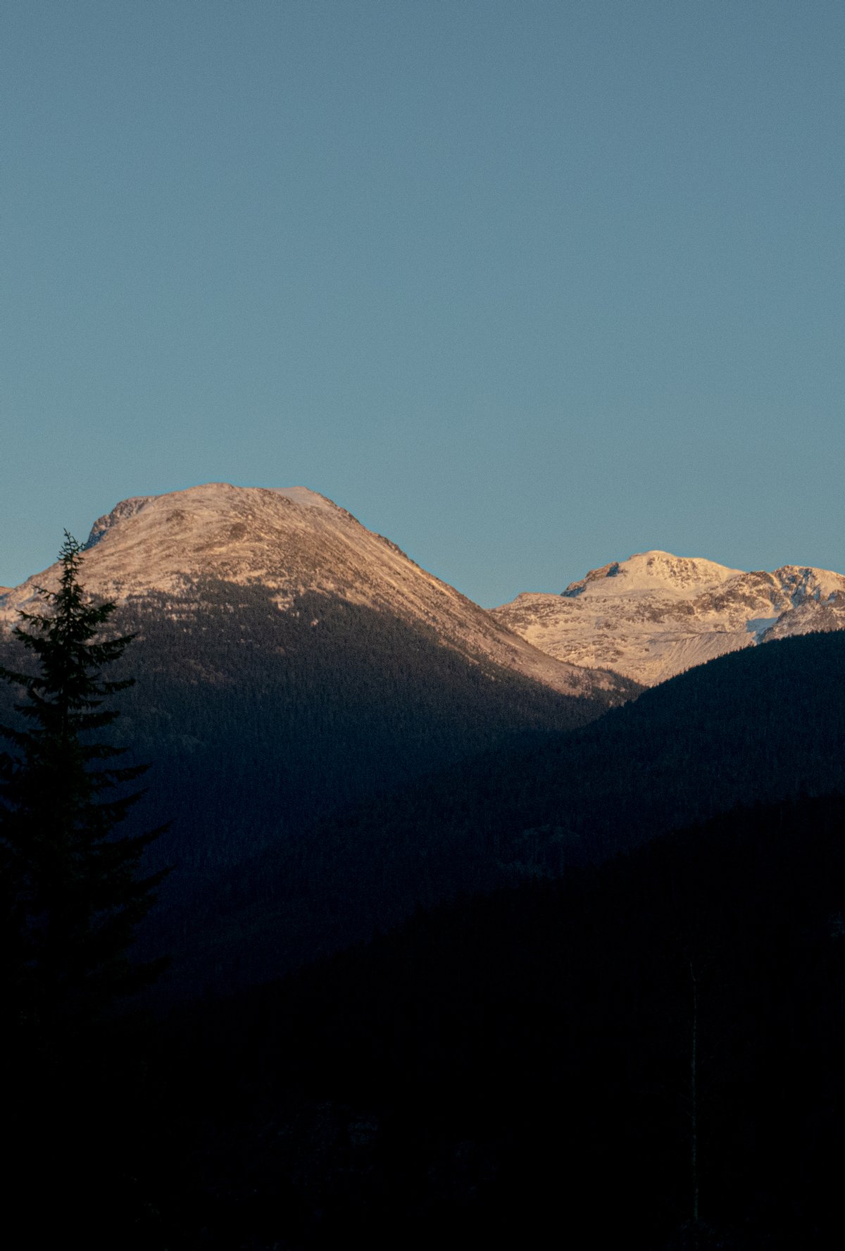 Nature Photography